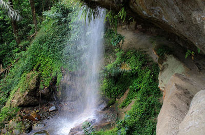 Niagara Reje Ilang
