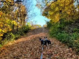 Blackthorn Hill Nature Preserve