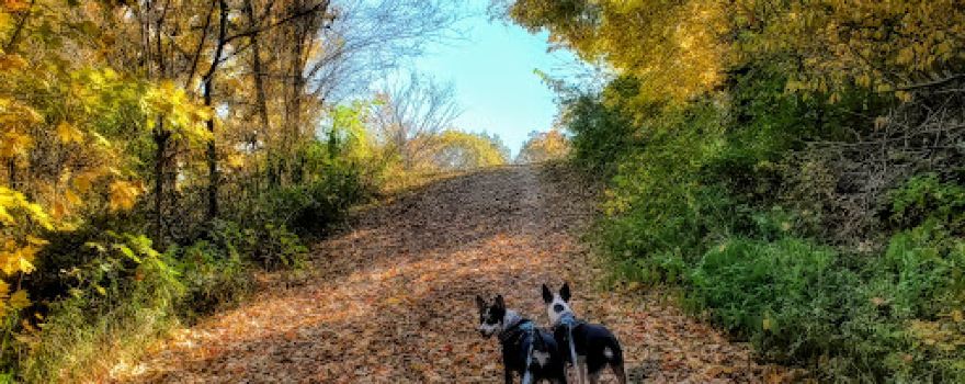 Blackthorn Hill Nature Preserve