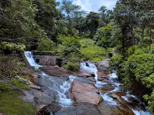 Bonacaud Trivandrum