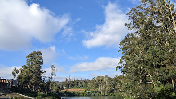 Honeymoon Boat House