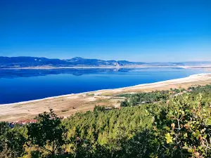 Burdur Urban Forest
