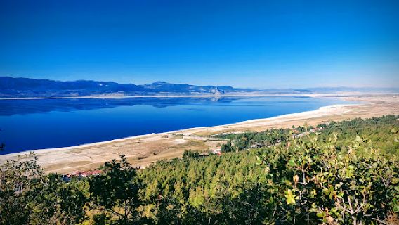 Burdur Urban Forest