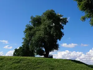 Hsin Gyone Fort
