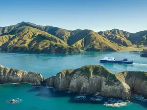 Wellington