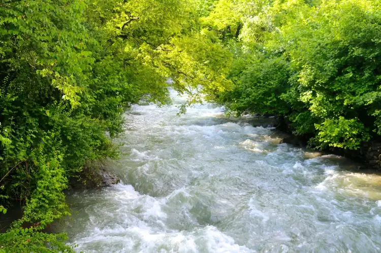 Hotels near Dachigam National Park