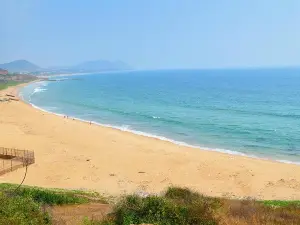 루시콘다 비치