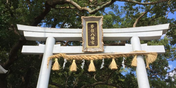 Kotonomama Hachimangu