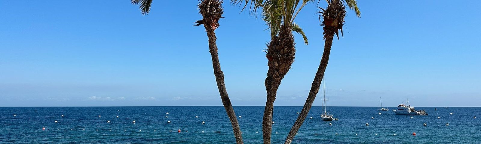 AvalonTravel photography