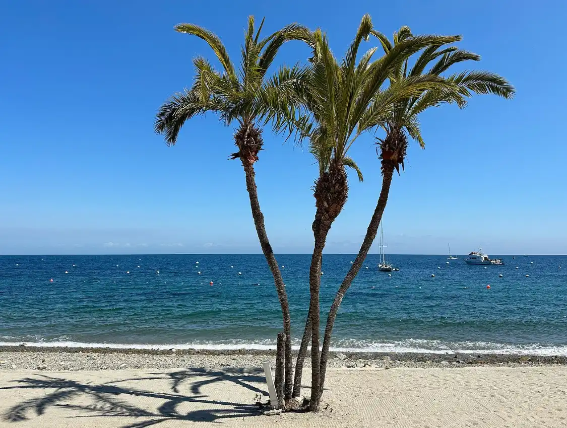 Các khách sạn gần Descanso Beach Club