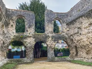 Reading Abbey Ruins