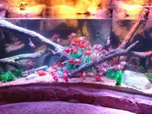 SEA LIFE Nagoya