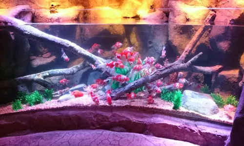 SEA LIFE Nagoya