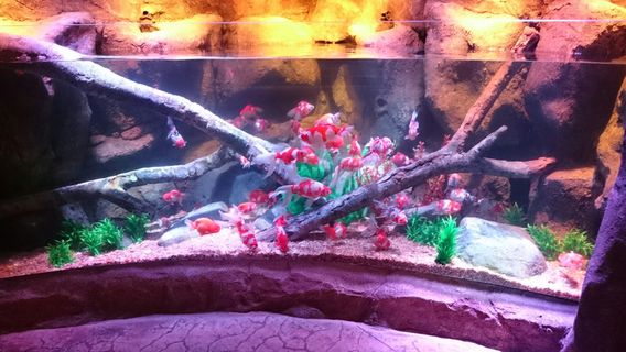 SEA LIFE Nagoya