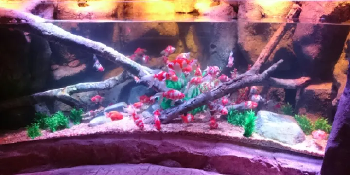 名古屋SEA LIFE水族館