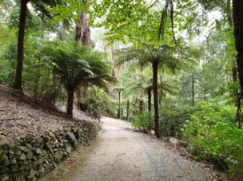 アルフレッド・ニコラス・メモリアル・ガーデン