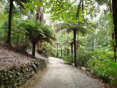 Alfred Nicholas Memorial Garden