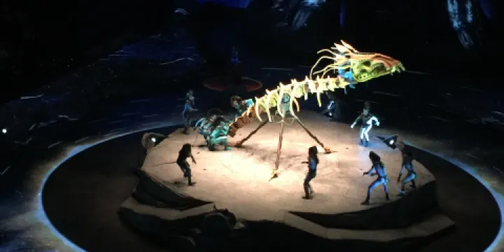 百威啤酒花園體育館