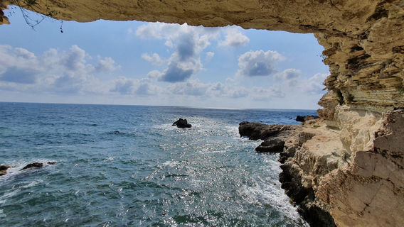 Sebastopoli