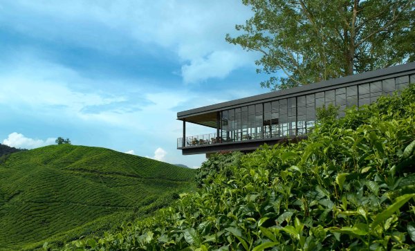 BOH Tea Centre (Sungei Palas Garden)
