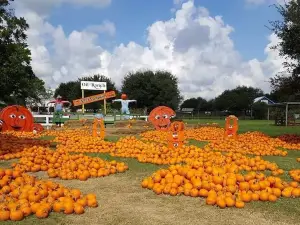 Oil Ranch