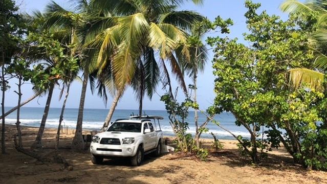 Surfing Lessons Puerto Rico