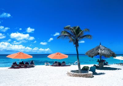 Plage d'Arashi