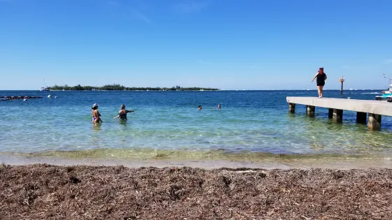 Simonton Street Beach