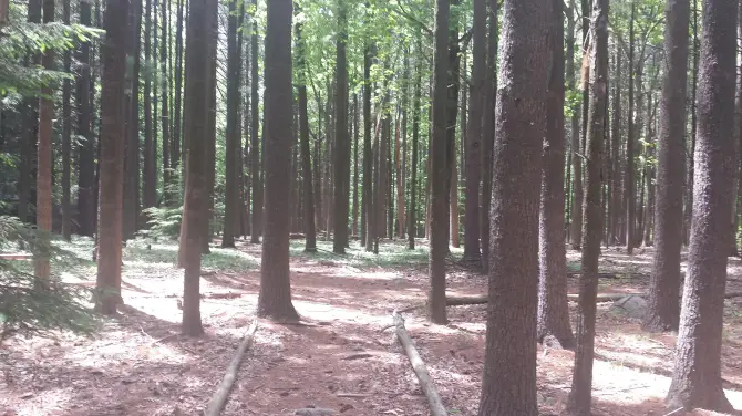 5_Greeley Park