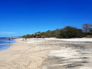 Playa Avellana
