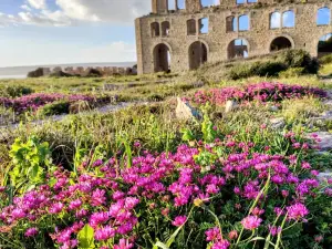 La Fornace Penna