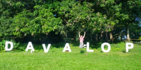 蒙福特蝙蝠保護區