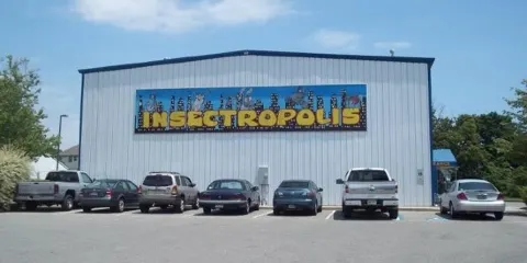 Insectropolis