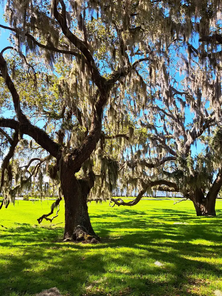 Hotels in Glynn County