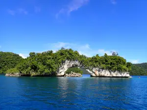 Fish 'n Fins Palau