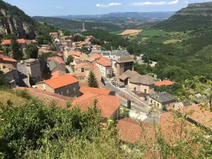 Visit the Caves Roquefort Papillon