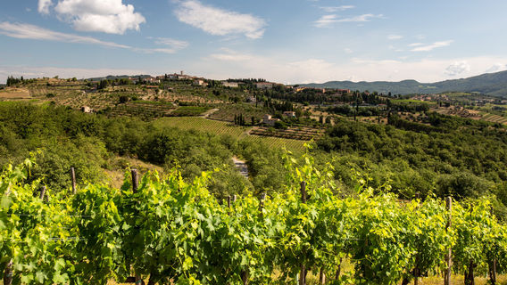 Podere L'Aja