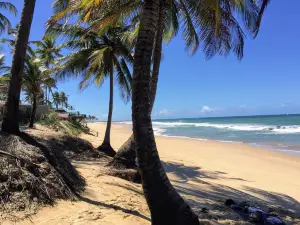 Enseada dos Corais Beach