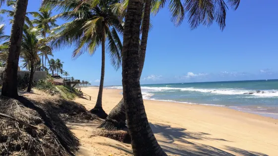 Enseada dos Corais Beach