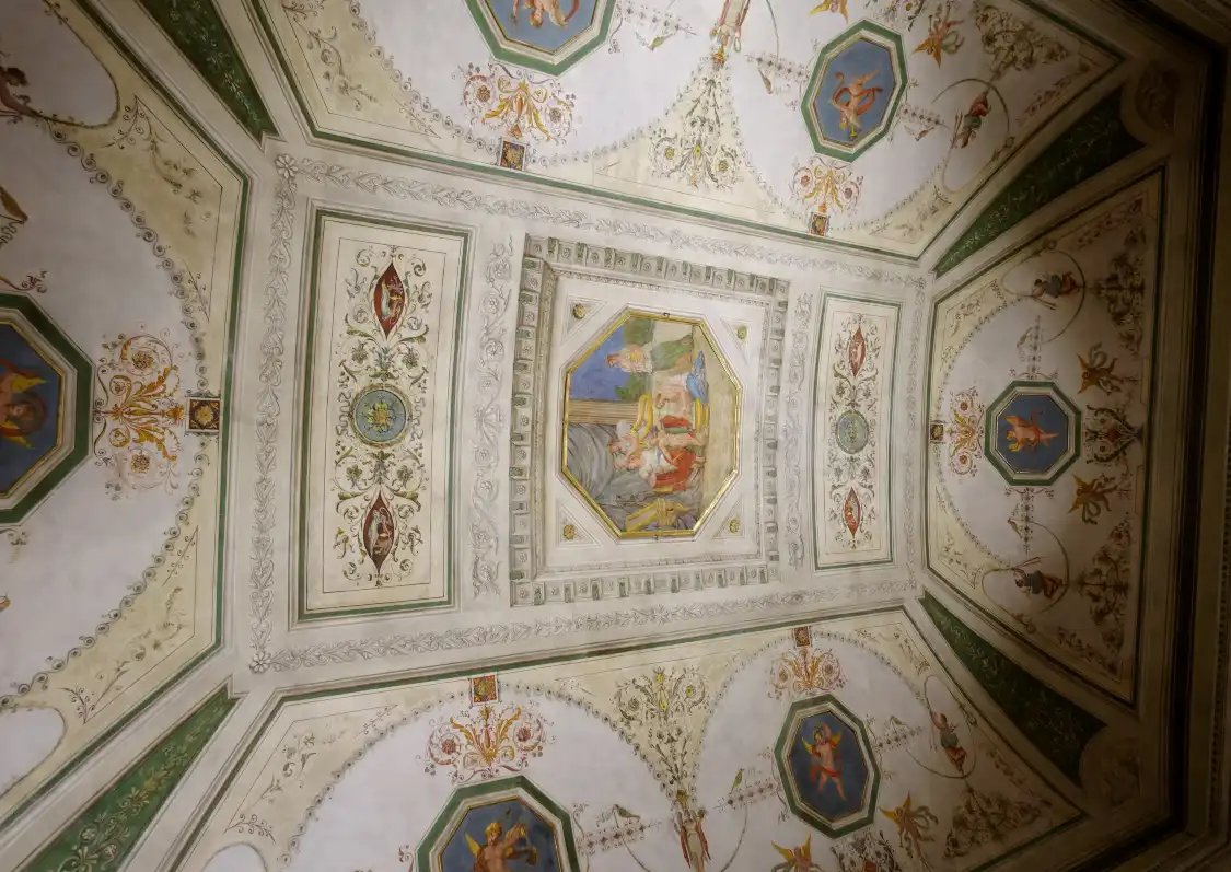 Hotel in zona Forlì - Palazzo Romagnoli