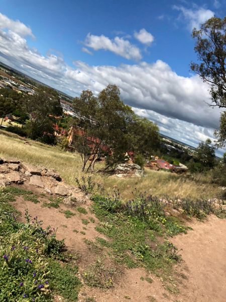 Flüge ${{cityDName}} Deniliquin