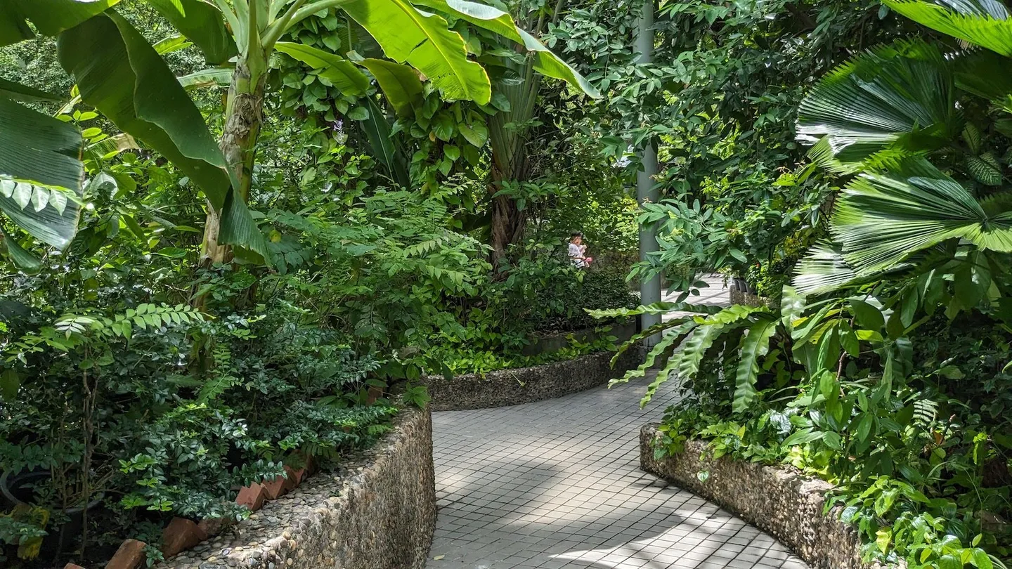 5_曼谷蝴蝶和昆蟲館