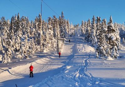 Kongsberg