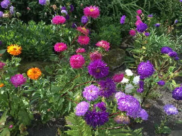 The Lindisfarne Gospel Garden
