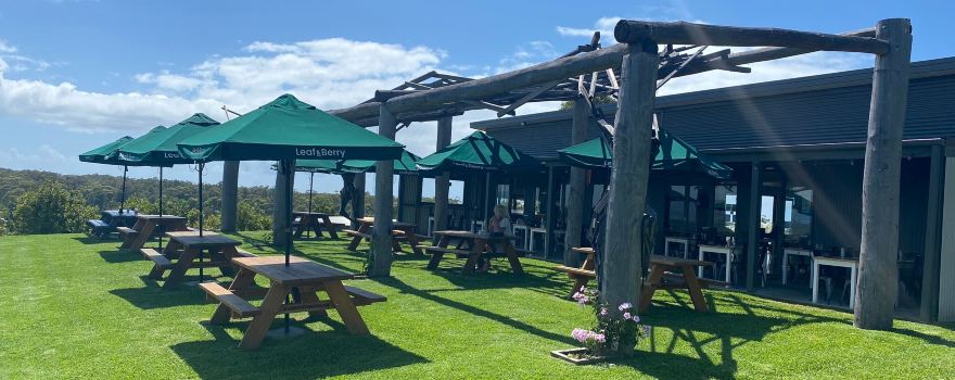 Mountain Ridge Wines - Winery, Restaurant, Art Gallery