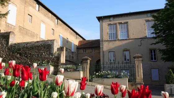 Castle de Roussillon