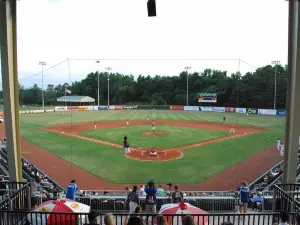 Lexington County Baseball Stadium- Blowfish