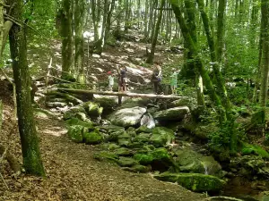Sentier de l'enfant sauvage