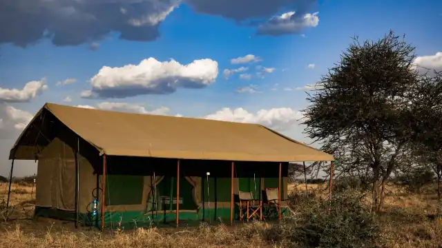 鄰近Serengeti Heritage的酒店