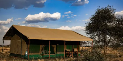 Serengeti Heritage
